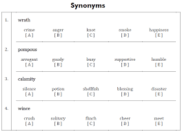 11 Cem Synonyms Antonyms Test Paper 2 Piacademy Tutors