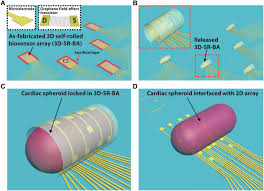 This manual cannot te.ach anyone how to de, or become, a good interrogator. Organ On E Chip Three Dimensional Self Rolled Biosensor Array For Electrical Interrogations Of Human Electrogenic Spheroids Science Advances