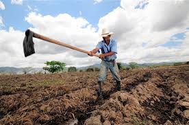 We did not find results for: Dia Del Agricultor Calendario Escolar De Republica Dominicana