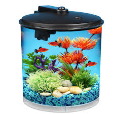 Hawkeye 2 Gallon Aquarium Starter Kit With Power Filter And Led Walmart Com Walmart Com