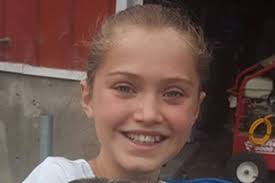 Maple Ridge student raising money for cats through school project