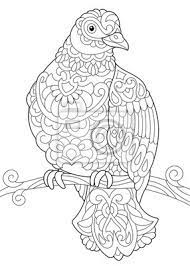 coloriage de loiseau colombe pigeon assis sur une branche peintures murales tableaux enchevetrement ailier coloration myloview fr champignons morilles