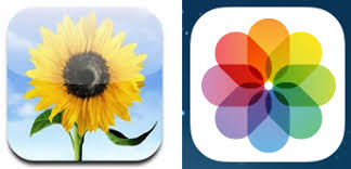 It can show images as well. Ios Photo Icon 312019 Free Icons Library