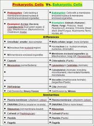 Ap Biology Biochemistry Basics Pogil Answer Key Pin On Nursing Notes