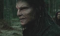 Fenrir greyback lavender brown death. Fenrir Greyback Lavender Brown Death Novocom Top