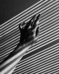 All Of The Light In The Dark All Of The Dark In The Light Im Quick To Notice The Shadows But Have Been Reminding M Light In The Dark All Of