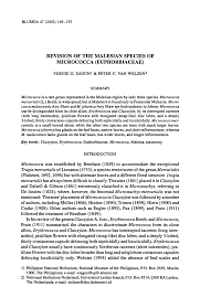 Image result for Micrococca capensis