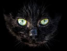 Balder died, and the whole earth got dark. Mit Ne Csinalj Pentek 13 An
