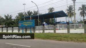 Mungkin ada yang penasaran dengan untuk gaji golongan i paling rendah adalah idr 1.560.800 dengan masa kerja 0 tahun, sementara itu. Gaji Uppkb Gaji Uppkb Pegawai Honorer Termasuk Jadi Penerima Berapa Sih Gaji Anggota Bawas Kaye Gerrard