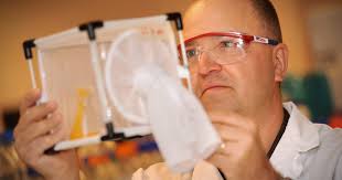 $1.46 million grant to help NMSU professor study mosquito reproduction