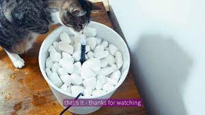 I wanted filtered water for my dogs since their water gets cruddy fast, so i looked online at instructables and found this hack and tried it for myself! Diy Cat Water Fountain Youtube