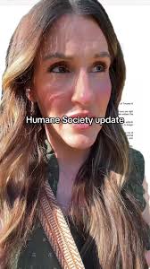 Humane Society Update: Returning Comfortable Kittens