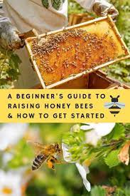 A Beginner S Guide To Raising Honey Bees How To Get Started Honey Bee Garden Backyard Bee Honey Bee Box
