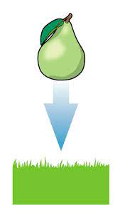 It also explains what gravity is and how it works. What Is A Force Forces For Kids Dk Find Out