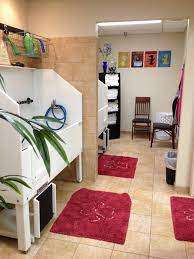 Earthwise Pet Supply Photos Pet Supplies Pet Store Ideas Dog Tub