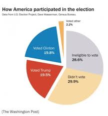 making voter pie scatterplot