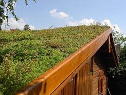 la toiture vegetalisee ameliore l isolation de la maison toiture vegetalisee toiture toit vert