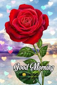 Check out our amazing collection of free hd pictures to send to your loved ones. 51 Good Morning Wishes With Rose Morning Greetings Morning Quotes And Wishes Images