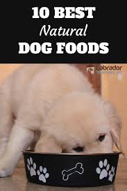 10 Best Natural Dog Foods Best Natural Dog Food Natural Dog Food Natural Dog