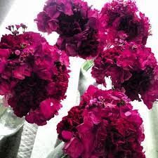 The standard collective nouns for you can put the wedding bouquet on your table and take it home when you are ready to leave. Pin By Simonne Crocker On Flower Options Flower Bouquet Wedding Bridesmaid Bouquet Wedding Bouquets