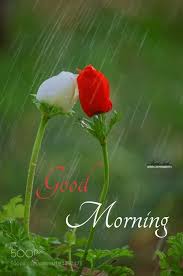 Besos Good Morning Flowers Rainy Good Morning Good Morning Kisses