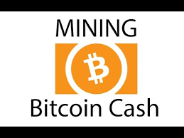 But it is also worth bearing in mind that antminers19 pro on the official site cost. How To Mine Bitcoin Cash Bch For Beginners 2021 Youtube