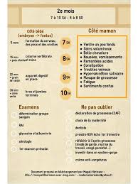 Epingle Sur Grossesse Mon Bullet Journal