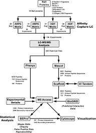 Flow Diagram Showing Experimental Details And Data Anal Open I