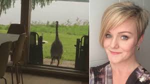 Här knackar den oväntade gästen på