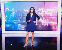 Apolline de malherbe est une journaliste française de télévision qui officie sur bfmtv. Apolline De Malherbe S Feet Wikifeet