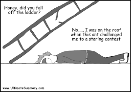 Roofing Fatalities Best Roofing