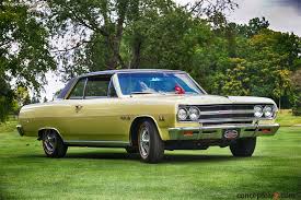 Image result for Crocus Yellow 1965 Chevelle