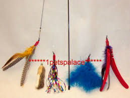 My cats love love love sparkler streamers; Da Bird Feather Wand Cat Toy 4 Attachment Refills Go Cat Interactive Free Ship Buy Products Online With Ubuy Kuwait In Affordable Prices 190964982667