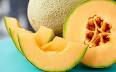 image of Cantaloupe