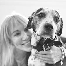 Are there animal hospitals in the bay area? Belmont Shore Veterinary Hospital Home Facebook