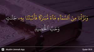 Banyak yang ragu membaca nun wiqoyah atau nun kecil, salah satunya dalam surat qaf ayat 43. Surah Qaaf Ayat 9 Qs 50 9 Tafsir Alquran Surah Nomor 50 Ayat 9