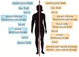Biopsies can also be enzymatically digested and assessed by various molecular techniques (e.g there are three distinct types of biopsies: Jcm Free Full Text Liquid Biopsy Is Instrumental For 3pm Dimensional Solutions In Cancer Management Html
