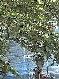 Wohnung Mieten Osnabruck Feinewohnung De
