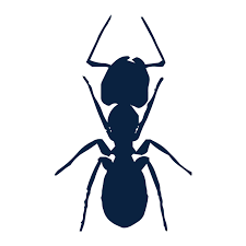 Are you worried about creepy crawlies at your home or business? Pest Control Abell Home