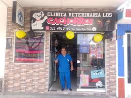 Clínica Veterinaria Los Cachorros