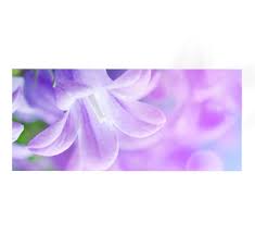 Yapiskanli Masa Kaplama Folyosu