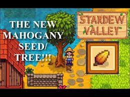 Stardew Valley 1 5 Update Mahogany Seed Tree Youtube