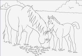 Ausmalen Coloring Coloringpagesforkids Kinder Erwachsenen Malvorlagen Painting Malvorlagen Malvorlagen Pferde Ausmalen