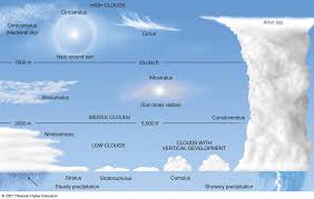 Cloud Type Charts