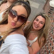 Who or what could have stolen my bird feeder near the elementary school