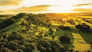 Public works advisory and regional development (regional nsw group) learn more. Your Guide To Regional Nsw Take A Holiday To Remember Escape Com Au