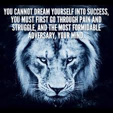 Profile for Brady Mitchell