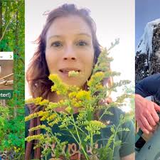 TikTok's latest trend: Strange adventures in the great outdoors
