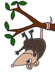 Funny Possum Hanging From Tree Cartoon Possum Weird Animals Vbs Custom Tshirt Design Disney series & full length cartoons in english. funny possum hanging from tree cartoon