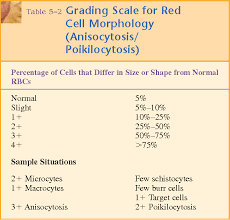 figure 5 23 from evaluation of cell morphology and